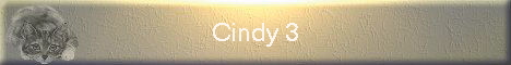 Cindy 3